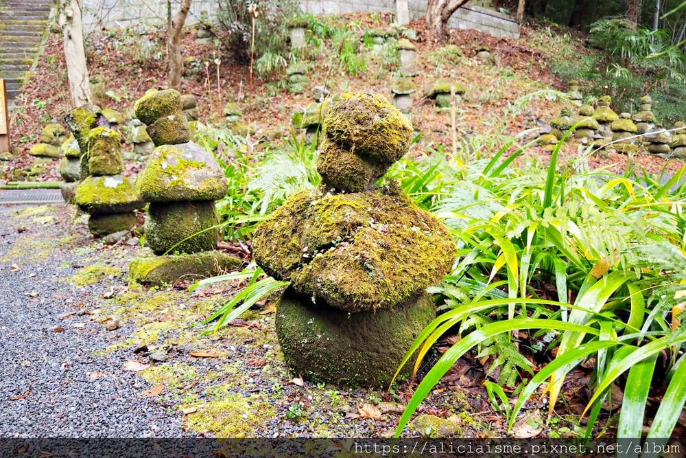 【大分縣 | 豊後高田市】旅庵「蕗臺」、國寶「富貴寺」:僅8間房的米其林禪心隱宿,豊後牛、豊後合鴨及農村蔬菜的豐盛一泊二食