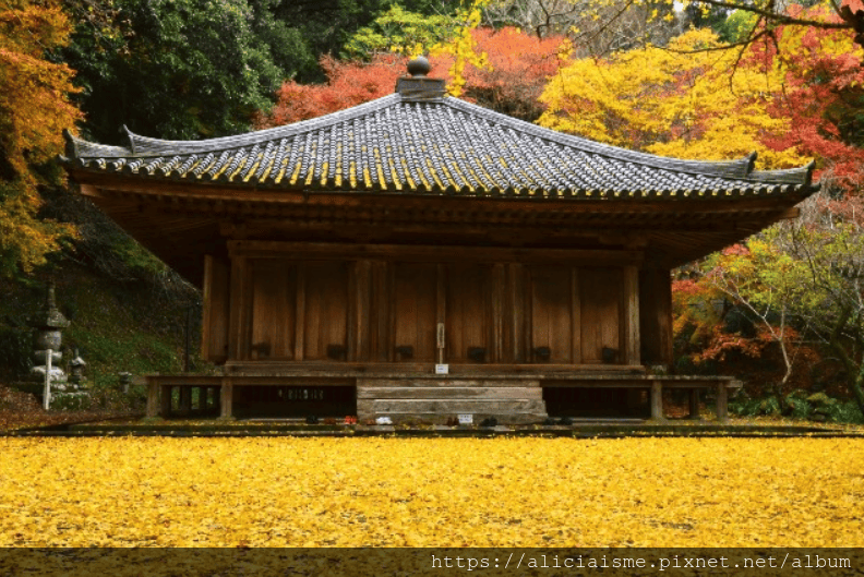 【大分縣 | 豊後高田市】旅庵「蕗臺」、國寶「富貴寺」:僅8間房的米其林禪心隱宿,豊後牛、豊後合鴨及農村蔬菜的豐盛一泊二食