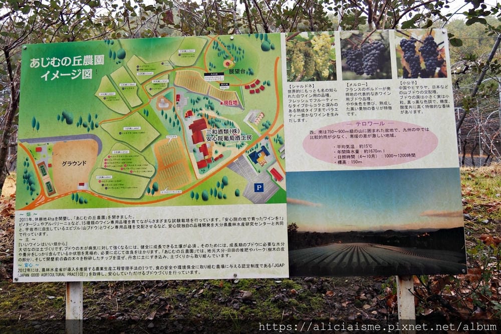 【大分縣 | 宇佐市】安心院葡萄酒工房:日本最美味的金賞白酒氣泡酒,瓶內二次發酵,還能坐擁四季風情葡萄園
