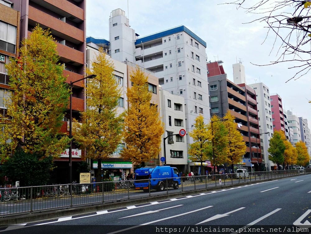 【東京都】（2019更新）六義園～最早盛開枝垂櫻及紅葉名所@駒込站