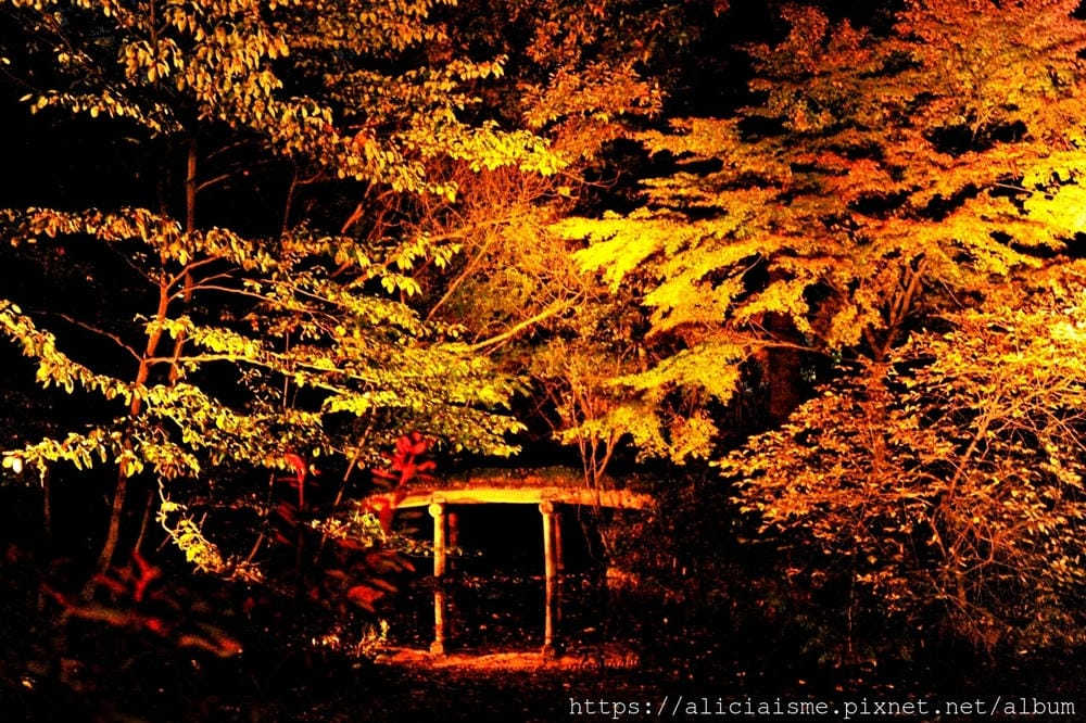 【東京都】(2019更新)六義園~最早盛開枝垂櫻及紅葉名所@駒込站