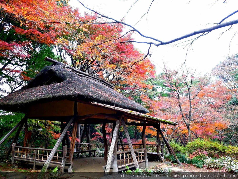 【東京都】(2019更新)六義園~最早盛開枝垂櫻及紅葉名所@駒込站