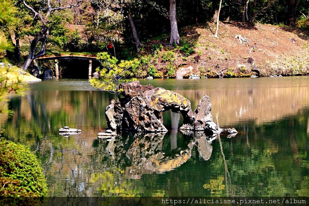 【東京都】(2019更新)六義園~最早盛開枝垂櫻及紅葉名所@駒込站