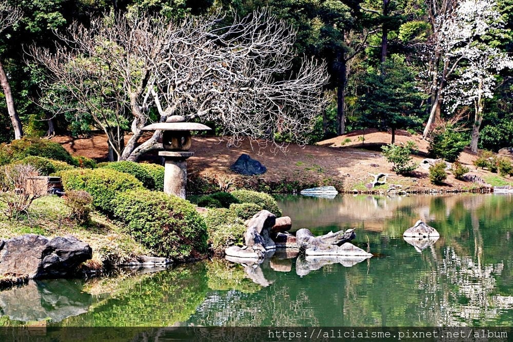 【東京都】（2019更新）六義園～最早盛開枝垂櫻及紅葉名所@駒込站