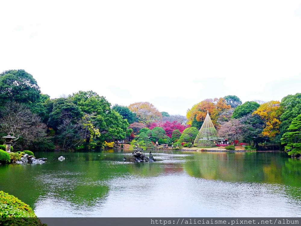 【東京都】(2019更新)六義園~最早盛開枝垂櫻及紅葉名所@駒込站