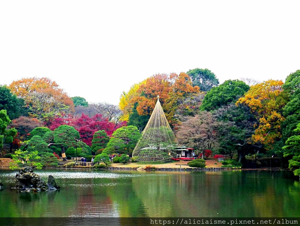 【東京都】(2019更新)六義園~最早盛開枝垂櫻及紅葉名所@駒込站