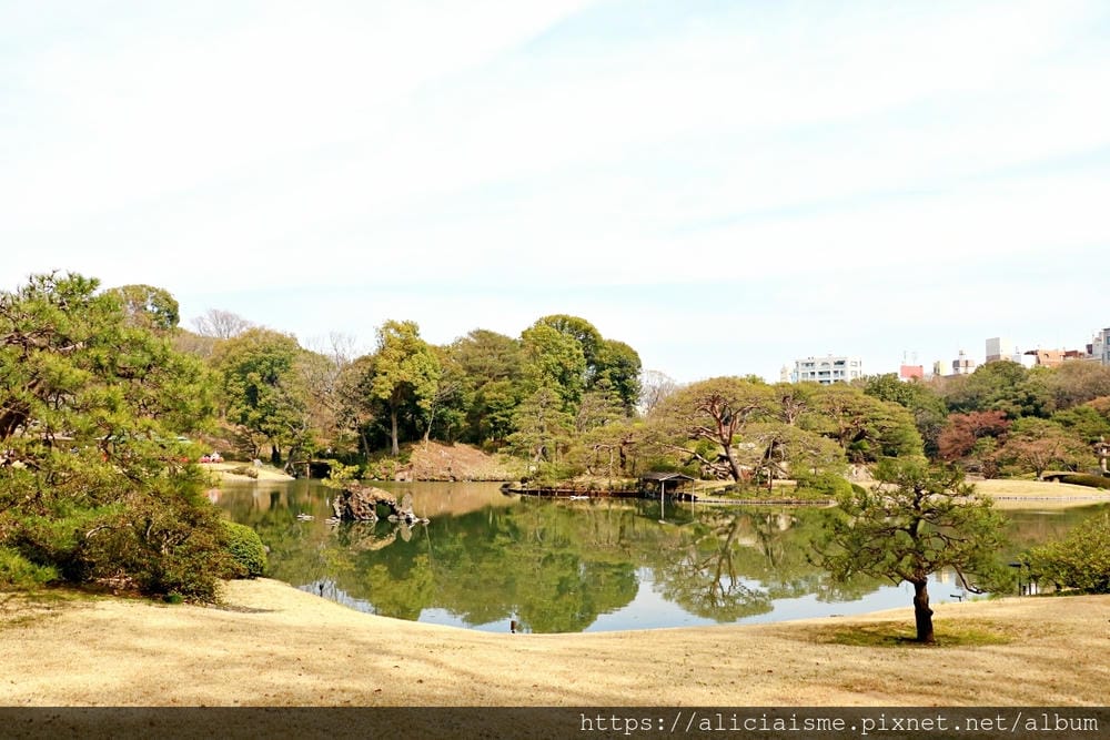 【東京都】(2019更新)六義園~最早盛開枝垂櫻及紅葉名所@駒込站