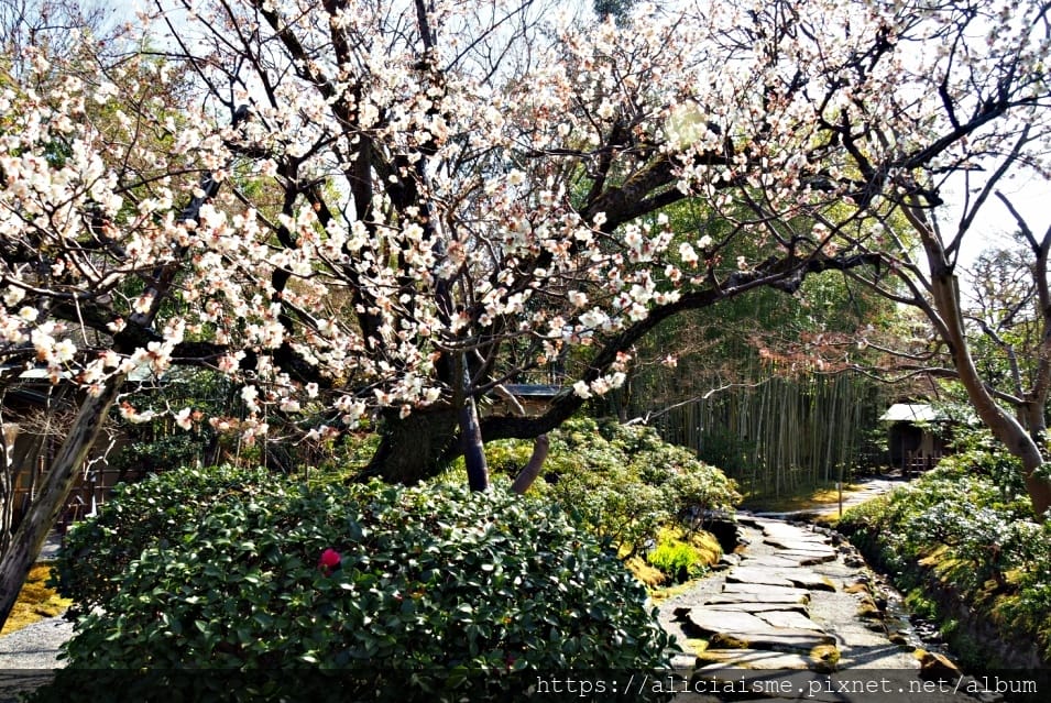 【京都府| 八幡市 】附庸風雅的松花堂庭園&「京都吉兆松花堂便當」發祥地