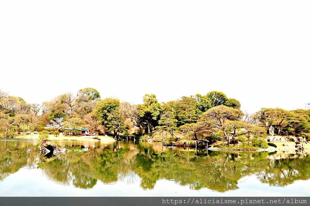 【東京都】(2019更新)六義園~最早盛開枝垂櫻及紅葉名所@駒込站