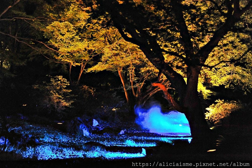 【東京都】(2019更新)六義園~最早盛開枝垂櫻及紅葉名所@駒込站
