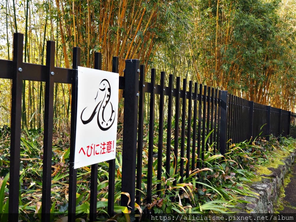 【京都府 | 日向市】:竹之徑.洛西竹林公園:幽靜竹林曲徑,發現比嵐山更有京都禪風(含交通方式)