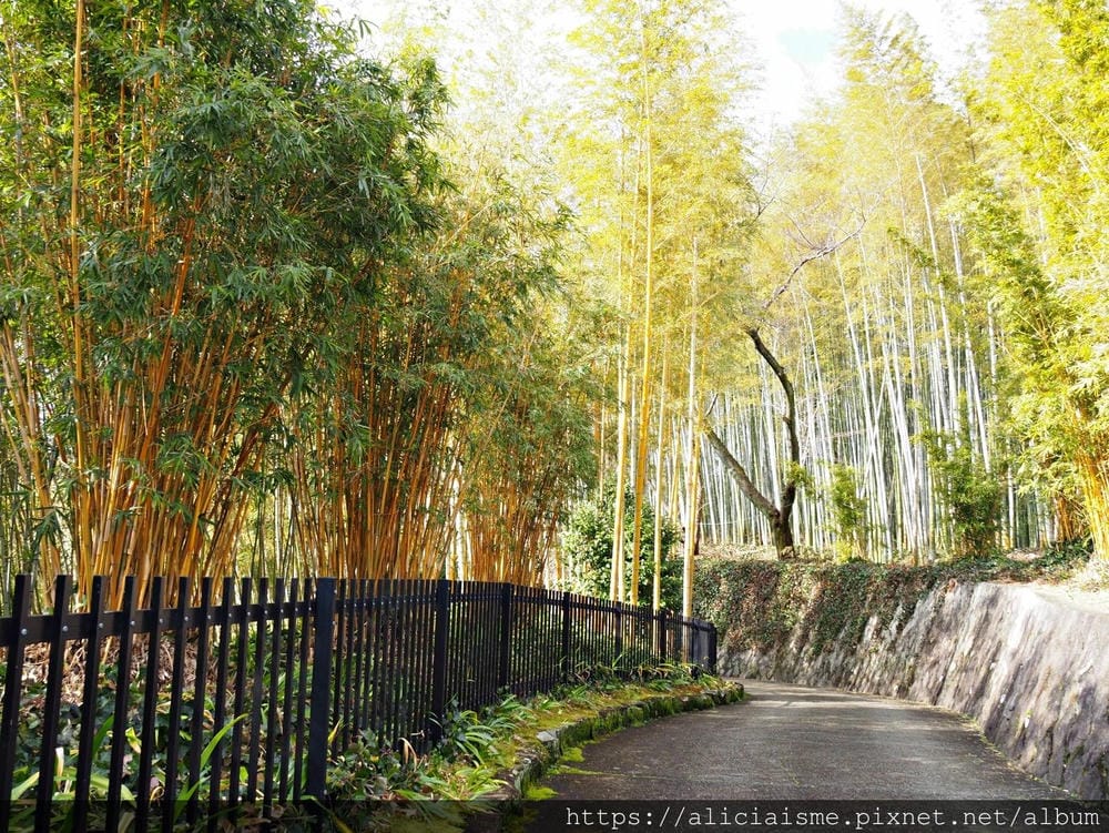 【京都府 | 日向市】:竹之徑.洛西竹林公園:幽靜竹林曲徑,發現比嵐山更有京都禪風(含交通方式)