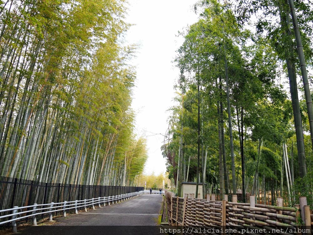 【京都府 | 日向市】:竹之徑.洛西竹林公園:幽靜竹林曲徑,發現比嵐山更有京都禪風(含交通方式)