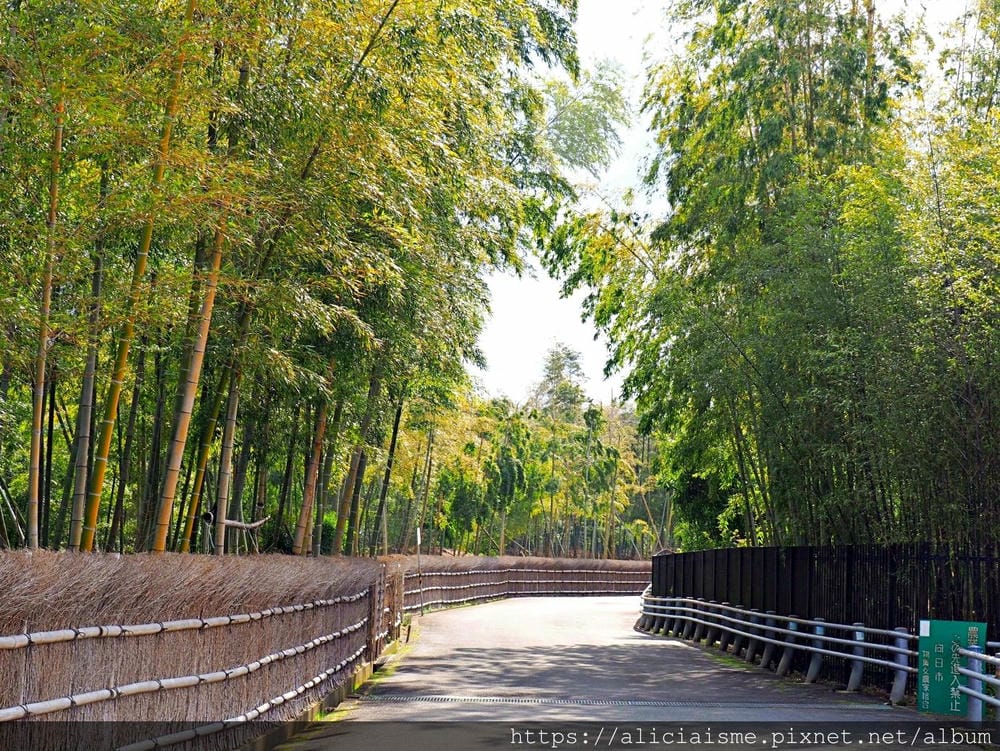 【京都府 | 日向市】:竹之徑.洛西竹林公園:幽靜竹林曲徑,發現比嵐山更有京都禪風(含交通方式)