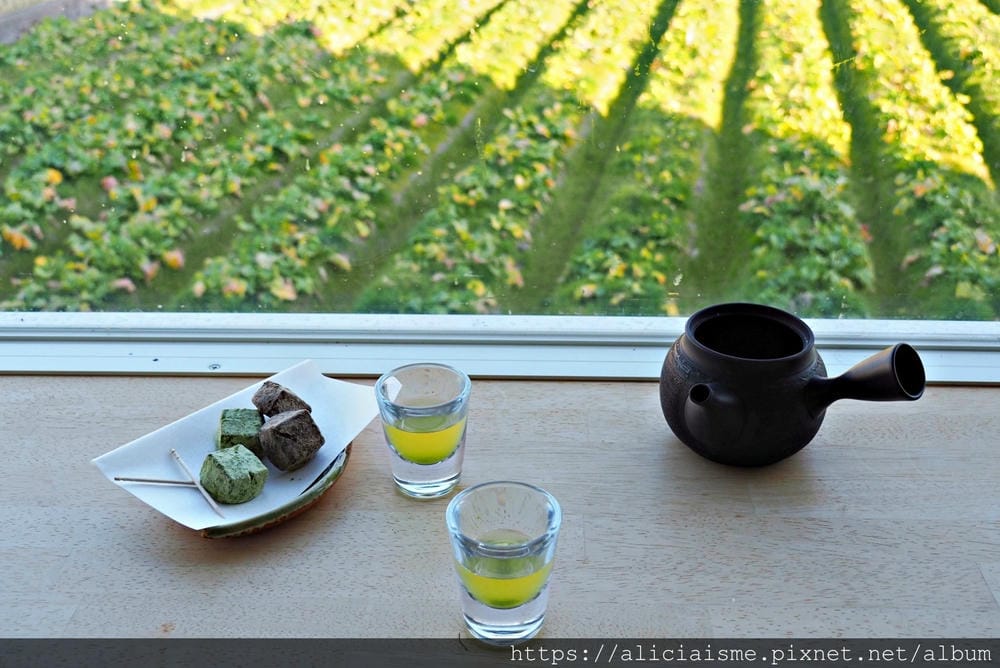 【京都府】:茶源鄉~和束町、「D:matcha」:石寺茶畑的絕景眺望、宇治3煎茶絕妙體驗