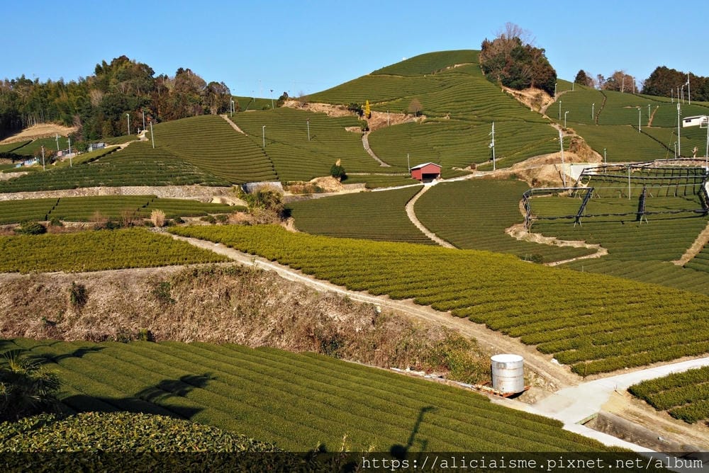 【京都府】:茶源鄉~和束町、「D:matcha」:石寺茶畑的絕景眺望、宇治3煎茶絕妙體驗