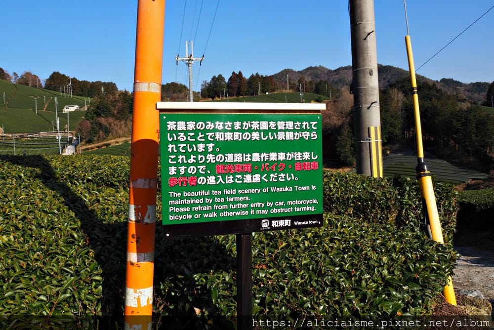 【京都府】:茶源鄉~和束町、「D:matcha」:石寺茶畑的絕景眺望、宇治3煎茶絕妙體驗
