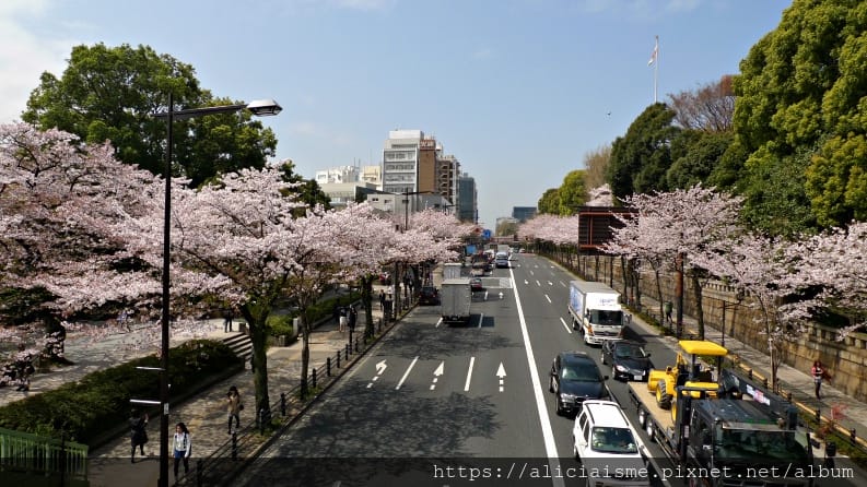 【東京都】千鳥之淵綠道(2019更新):漫舞櫻花成粉紅河的第一名花見夢幻所