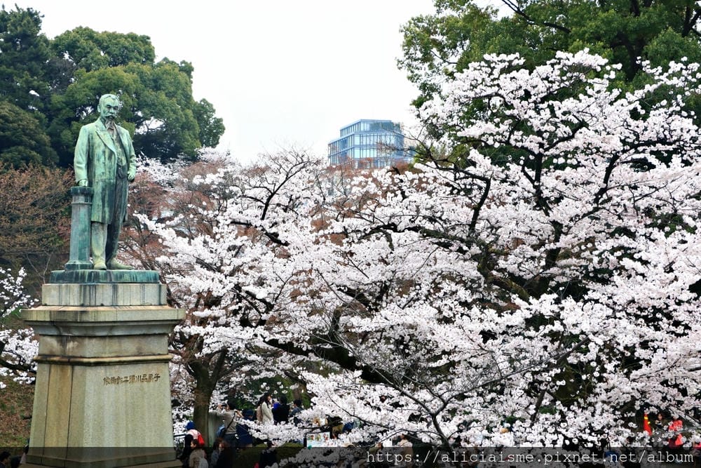 【東京都】千鳥之淵綠道(2019更新):漫舞櫻花成粉紅河的第一名花見夢幻所