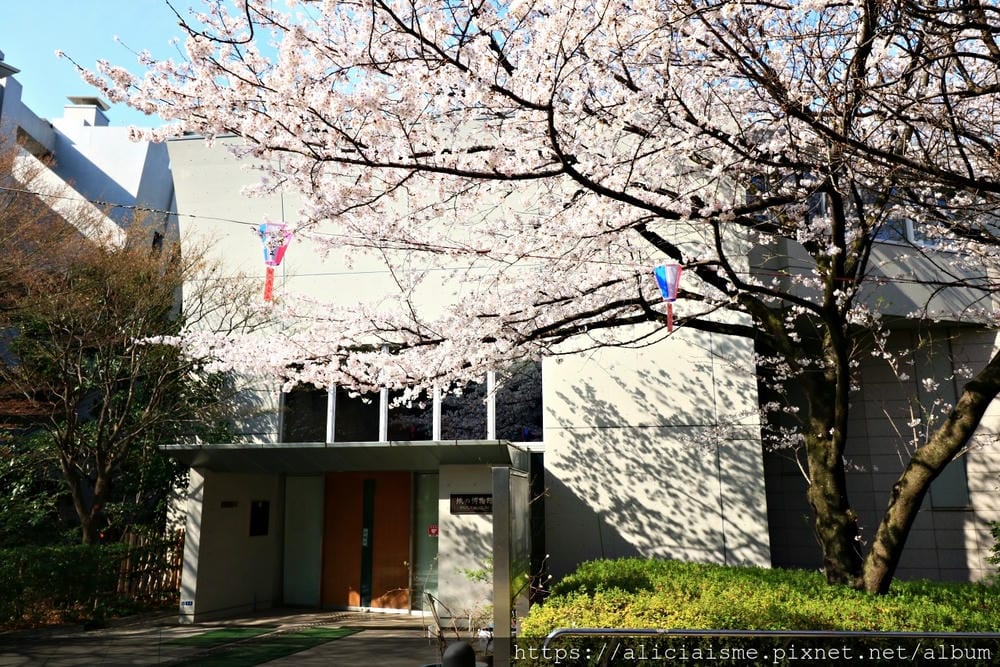 【東京都】（2019更新）飛鳥山公園～繁櫻盛開下的都電荒川線&路面電車趣景