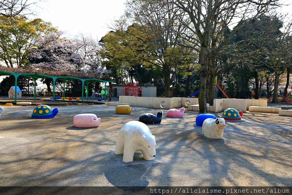 【東京都】（2019更新）飛鳥山公園～繁櫻盛開下的都電荒川線&路面電車趣景