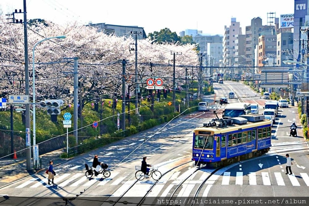 【東京都】（2019更新）飛鳥山公園～繁櫻盛開下的都電荒川線&路面電車趣景