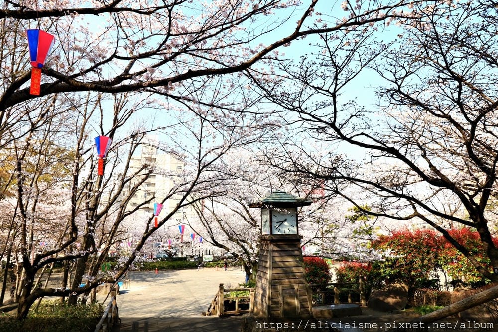 【東京都】（2019更新）飛鳥山公園～繁櫻盛開下的都電荒川線&路面電車趣景