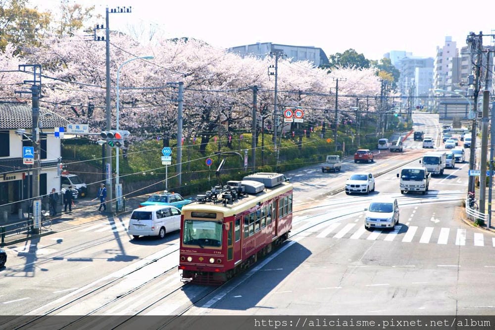【東京都】（2019更新）飛鳥山公園～繁櫻盛開下的都電荒川線&路面電車趣景