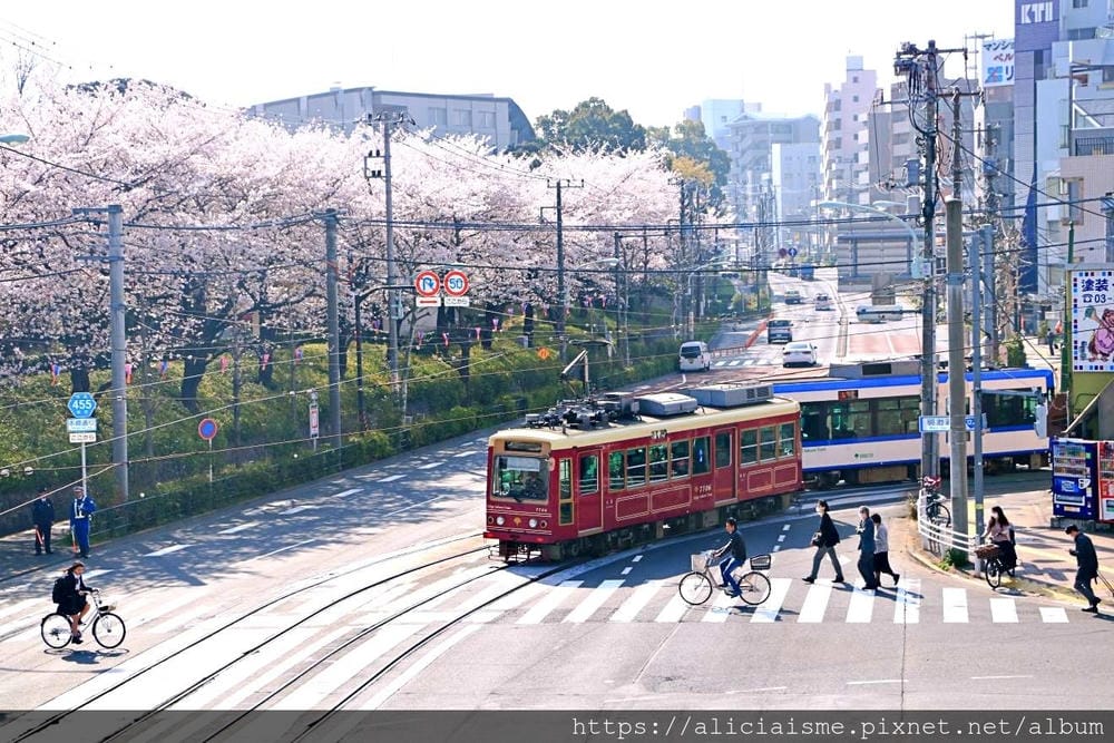 【東京都】（2019更新）飛鳥山公園～繁櫻盛開下的都電荒川線&路面電車趣景