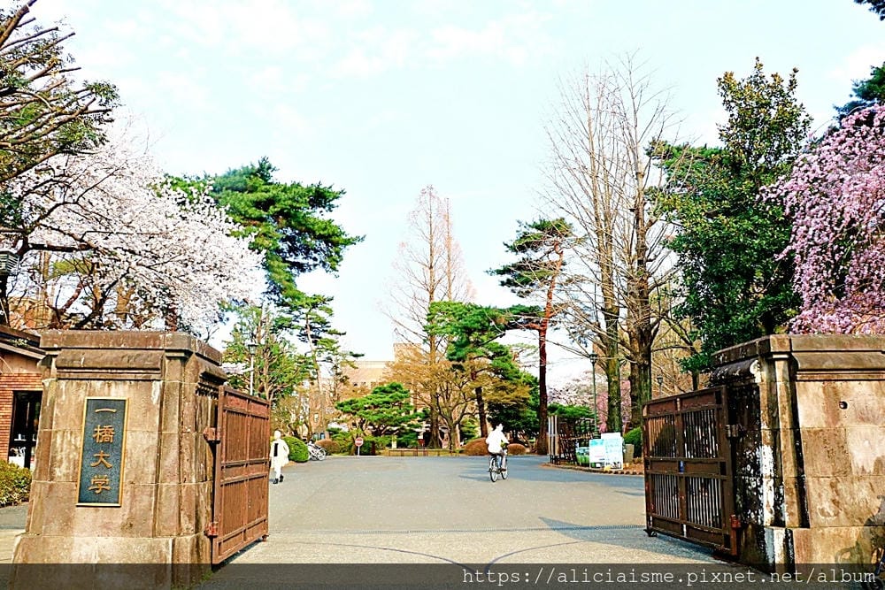 【東京都】國立站(2020更新):櫻花行道樹下、一橋大學老校園、美味散策(JR中央線)
