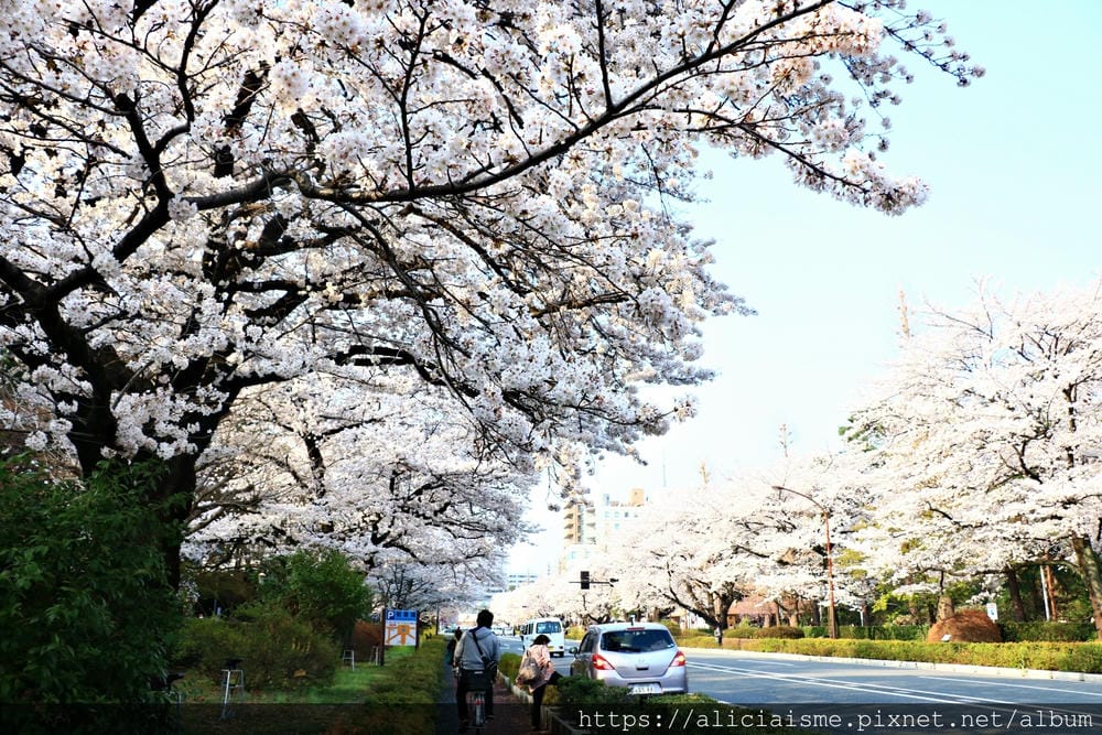 【東京都】國立站(2020更新):櫻花行道樹下、一橋大學老校園、美味散策(JR中央線)