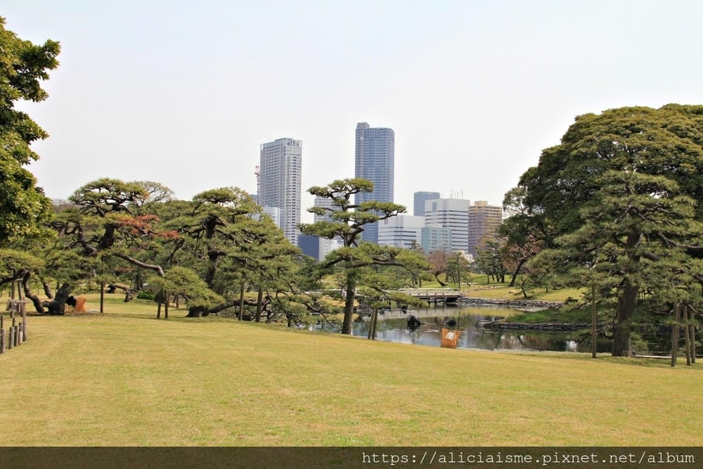 【東京都】（2019更新）濱離宮恩賜庭園：都會裡的四季花卉療癒所