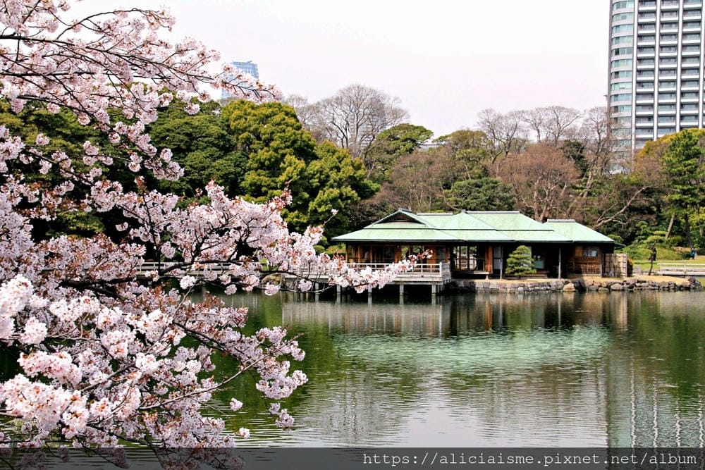 【東京都】（2019更新）濱離宮恩賜庭園：都會裡的四季花卉療癒所