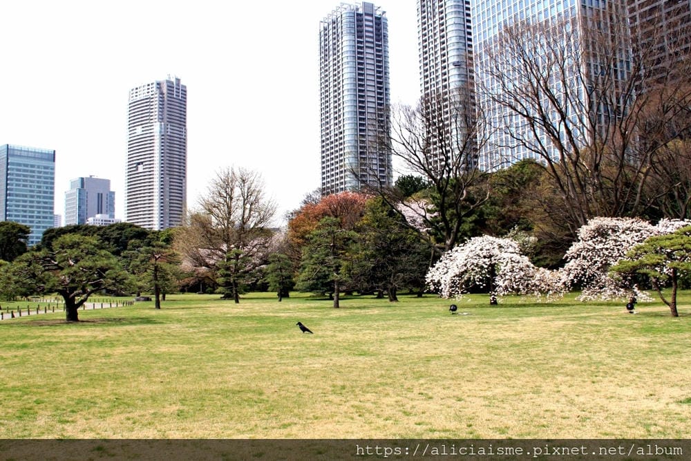 【東京都】（2019更新）濱離宮恩賜庭園：都會裡的四季花卉療癒所