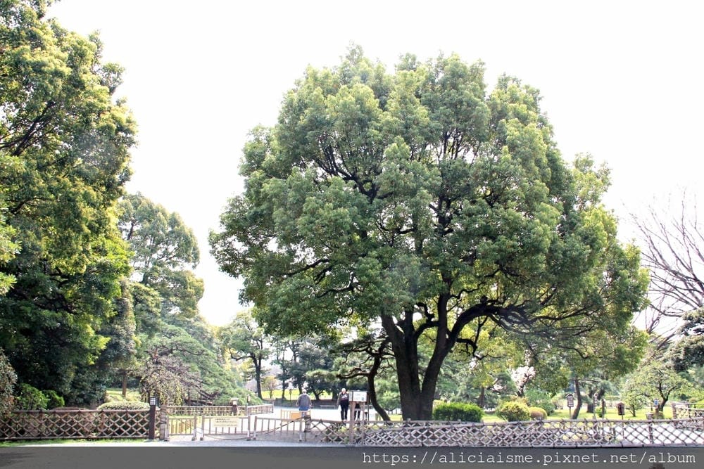 【東京都】（2019更新）濱離宮恩賜庭園：都會裡的四季花卉療癒所