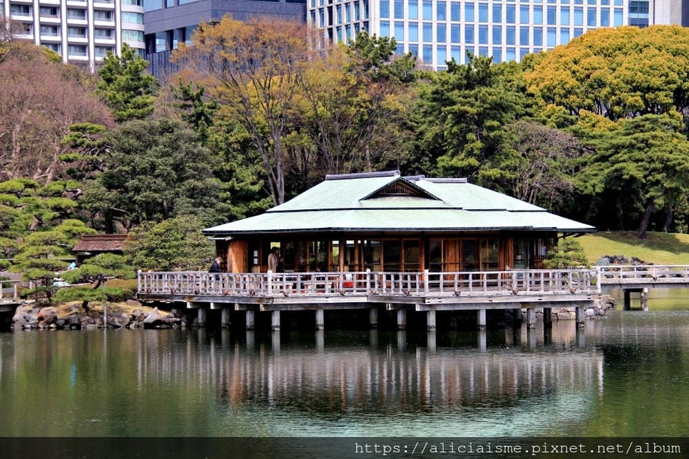【東京都】（2019更新）濱離宮恩賜庭園：都會裡的四季花卉療癒所