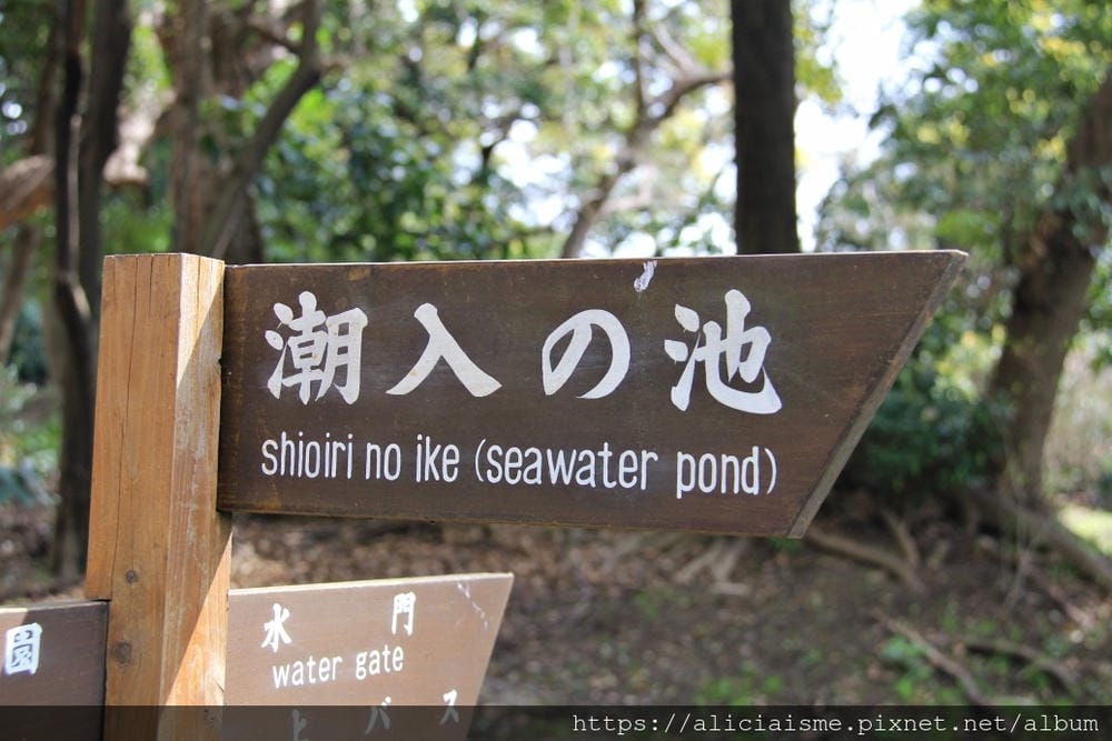【東京都】（2019更新）濱離宮恩賜庭園：都會裡的四季花卉療癒所