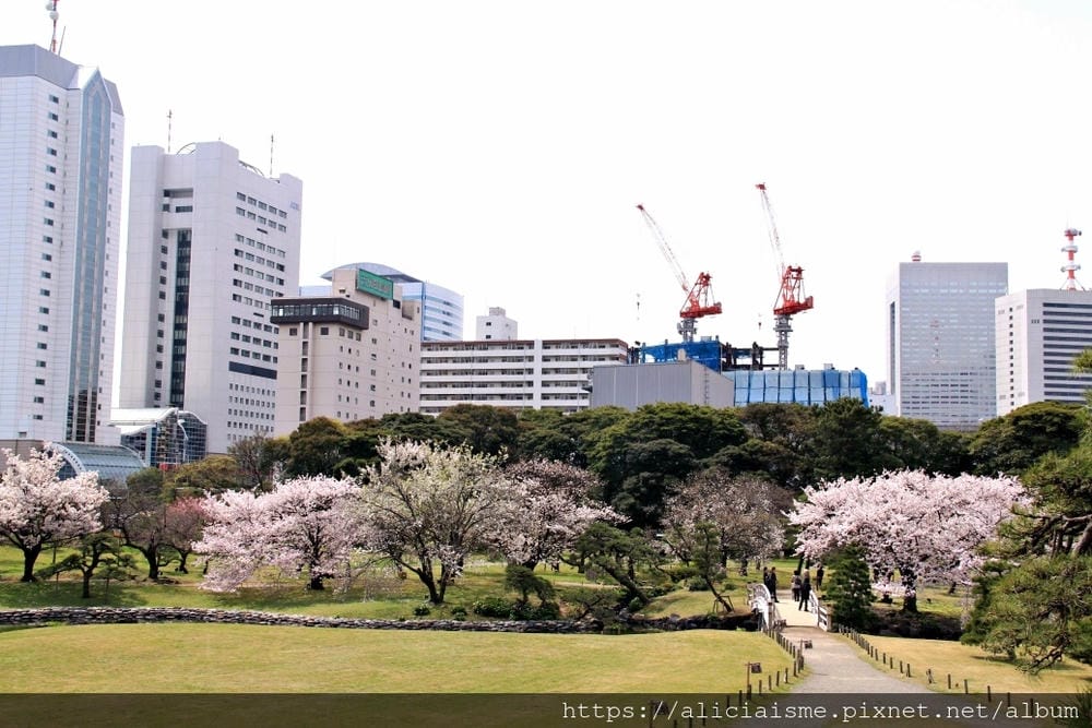 【東京都】（2019更新）濱離宮恩賜庭園：都會裡的四季花卉療癒所