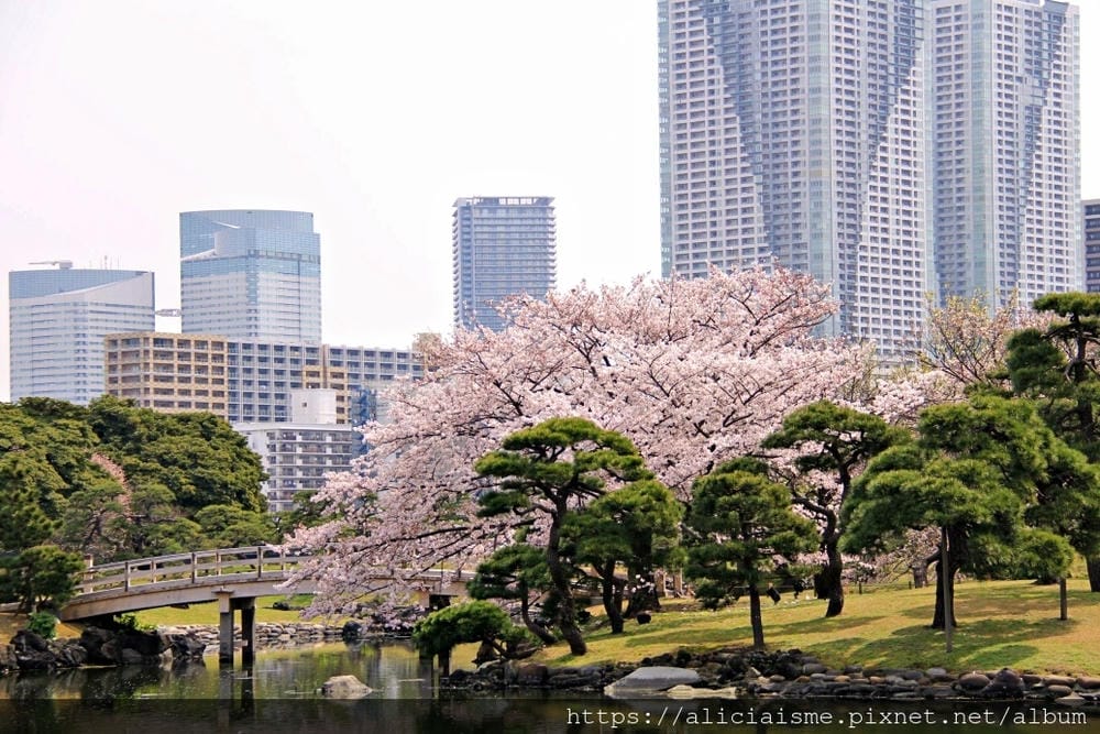 【東京都】（2019更新）濱離宮恩賜庭園：都會裡的四季花卉療癒所