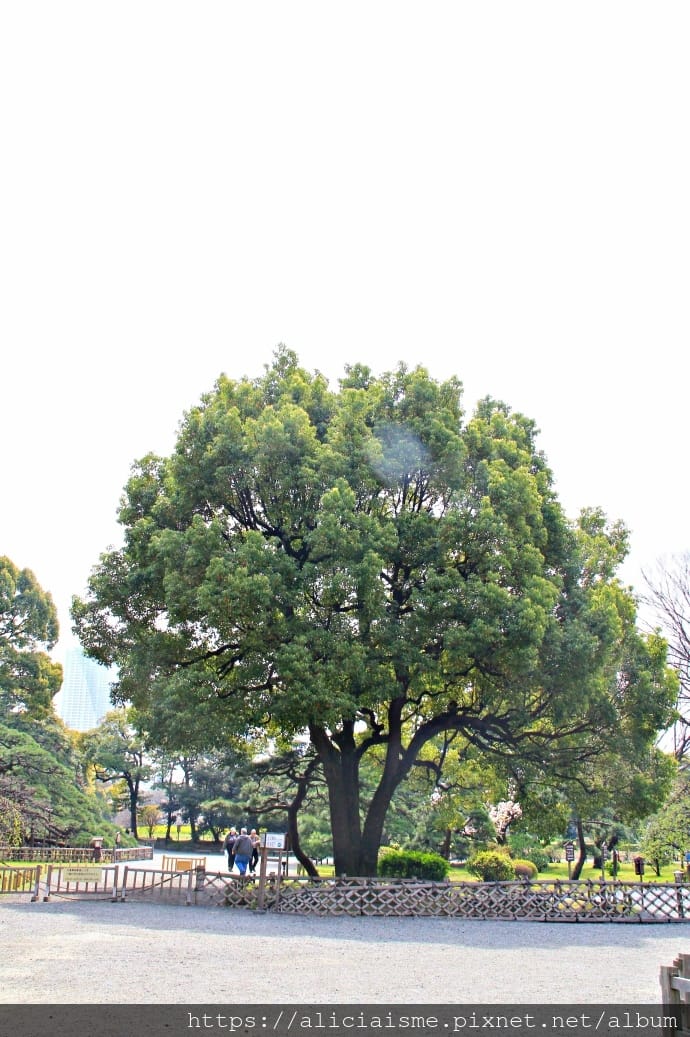 【東京都】（2019更新）濱離宮恩賜庭園：都會裡的四季花卉療癒所