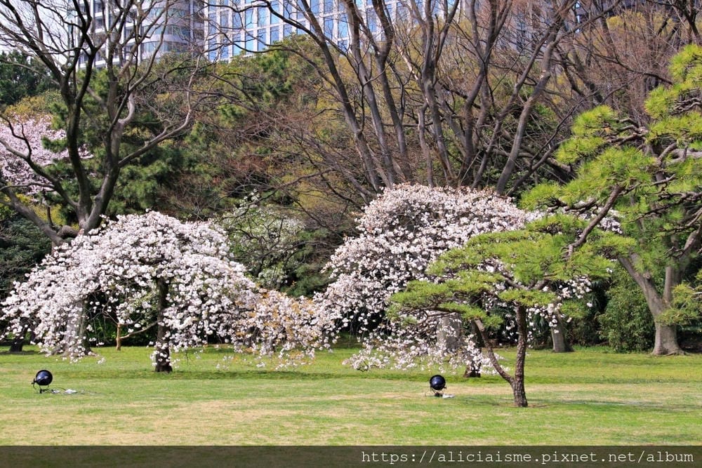 【東京都】（2019更新）濱離宮恩賜庭園：都會裡的四季花卉療癒所