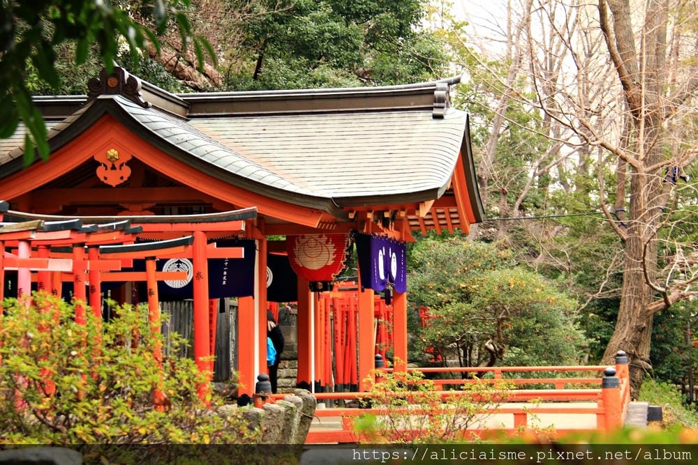 【東京】根津神社 (2019更新)~古老神社與春天讓人讚嘆的杜鵑花祭