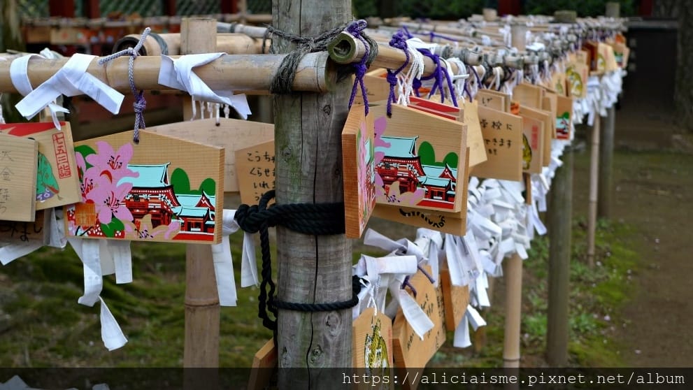 【東京】根津神社 （2019更新）~古老神社與春天讓人讚嘆的杜鵑花祭