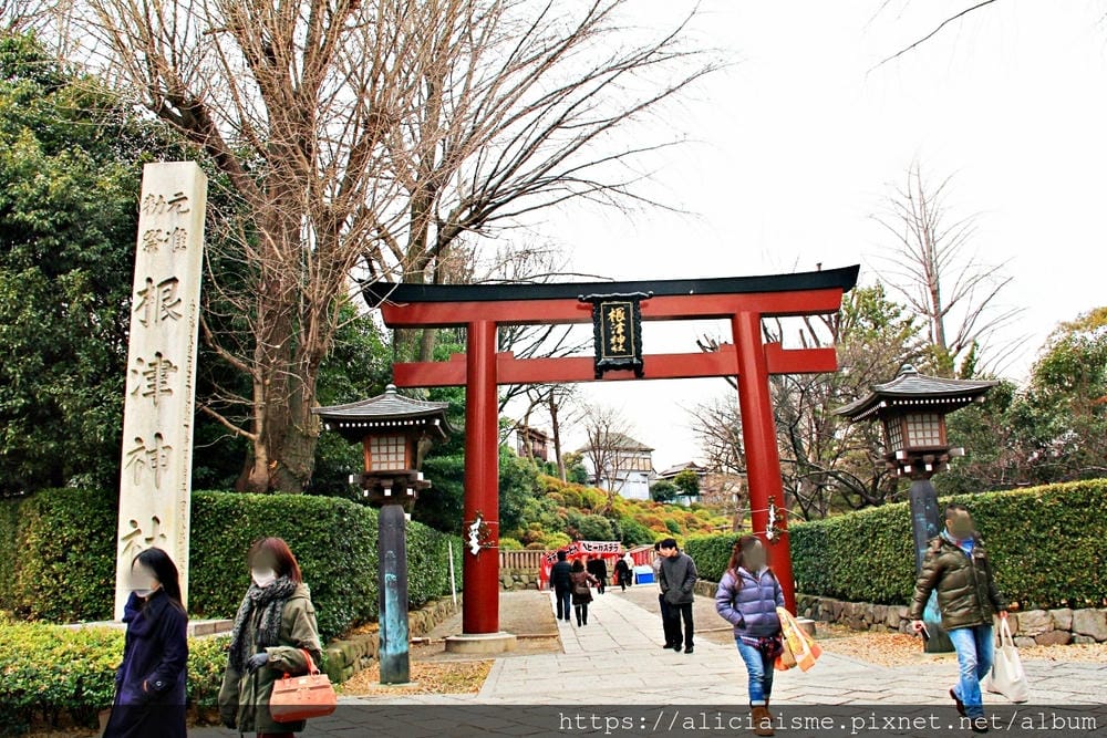 【東京】根津神社 （2019更新）~古老神社與春天讓人讚嘆的杜鵑花祭