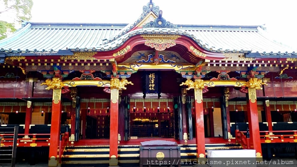 【東京】根津神社 (2019更新)~古老神社與春天讓人讚嘆的杜鵑花祭