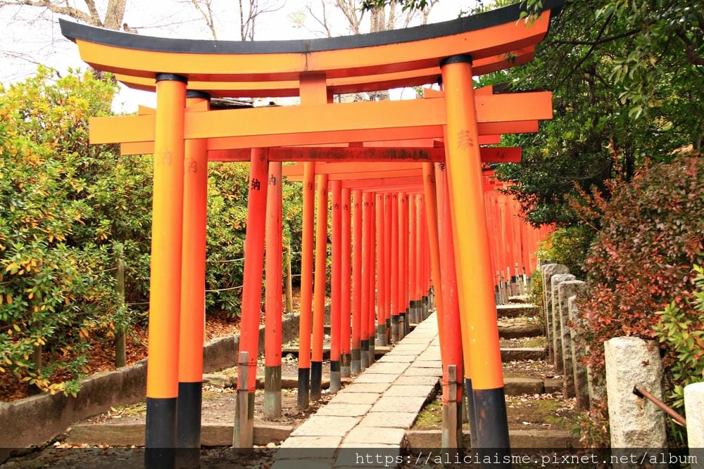 【東京】根津神社 （2019更新）~古老神社與春天讓人讚嘆的杜鵑花祭
