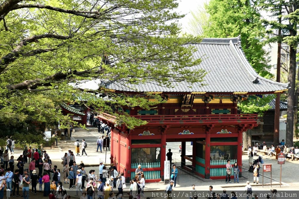 【東京】根津神社 (2019更新)~古老神社與春天讓人讚嘆的杜鵑花祭