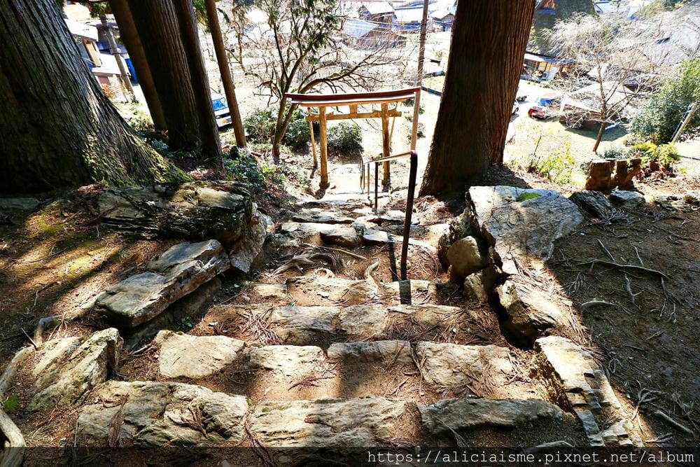 【京都府】三大茅葺聚落「美山」：森林裡尋找人間仙境（更新交通資訊）