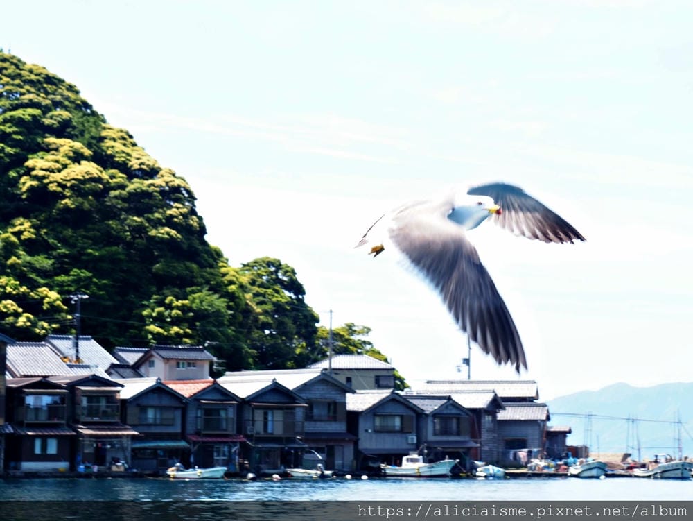 【京都府】伊根舟屋：在日本唯一的船屋聚落，駛進海的京都迷人畫作裡