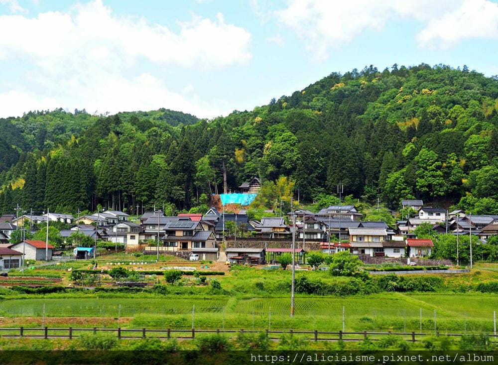 【海之京都】搭乘「青松號」，1日輕鬆遊三大絕景「天橋立」、智恩寺、飛龍觀、元伊勢籠神宮、真名井神社、傘松公園，品嚐在地美味及智慧之旅（含車班及交通）